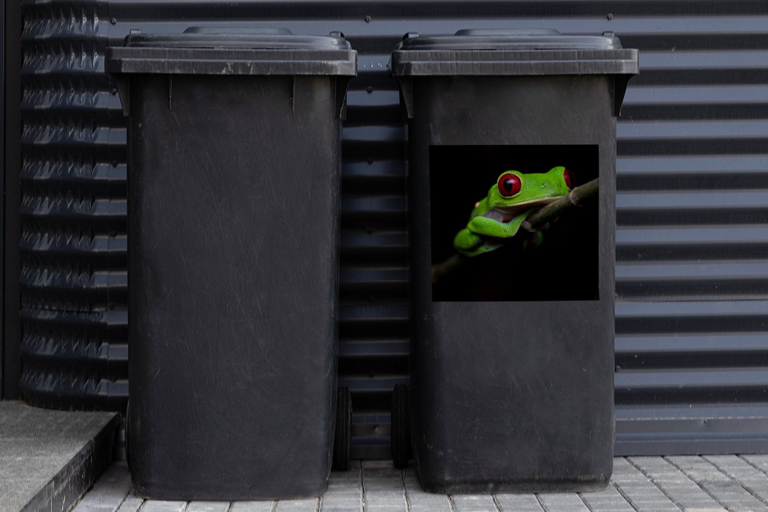 Mülleimer-aufkleber, Mülltonne, Container, Abfalbehälter schwarzem MuchoWow Sticker, St), Quecksilberfrosch Rotäugiger auf (1 Hintergrund Wandsticker