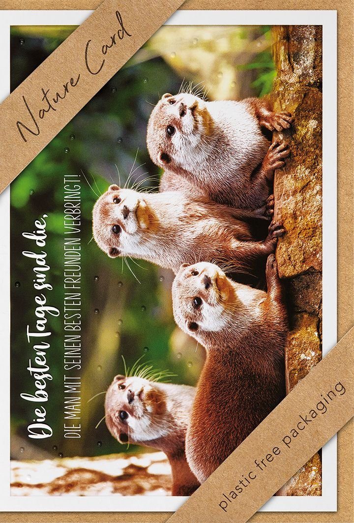 Glückwunschkarte Klemmen Natur Allgemeine - BSB Umschlag Card, inkl.
