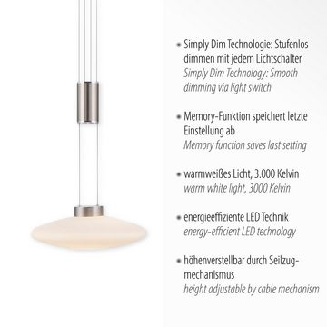 Paul Neuhaus Pendelleuchte LAUTADA, LED fest integriert, Warmweiß, LED, dimmbar, Simply Dim, Memory, nach Trennung vom Netz