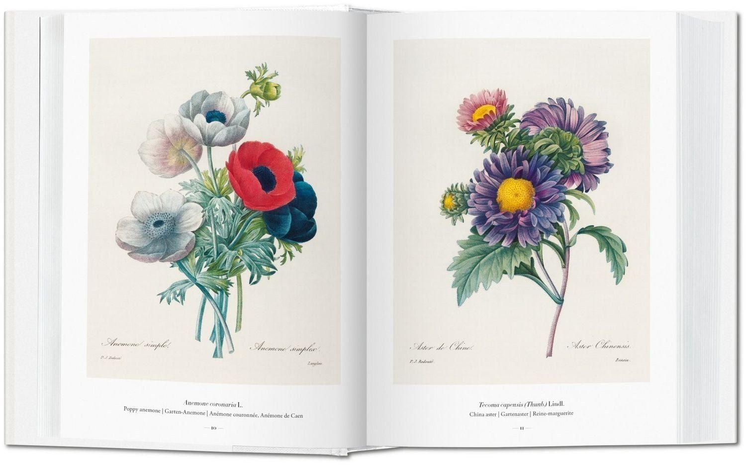 Pierre-Joseph Redouté. The Book of Flowers The Book of Flowers. 45th E / H. Walter Lack, The Book of Flowers. 45th Ed.