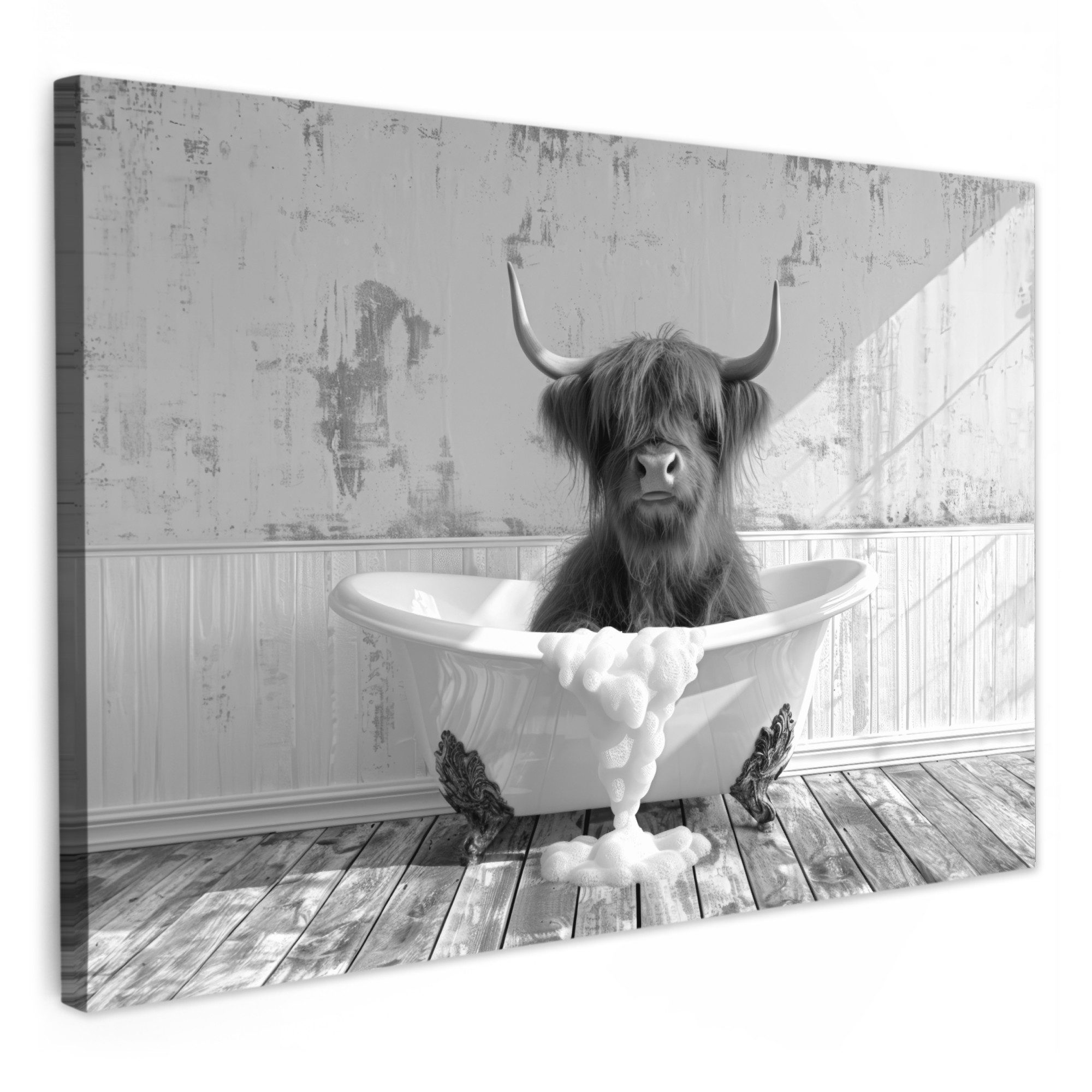 OneMillionCanvasses® Leinwandbild Schottischer Highlander - Tier - Badewann günstig online kaufen