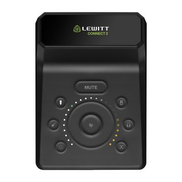 Lewitt Digitales Aufnahmegerät (CONNECT 2 - USB Audio Interface)