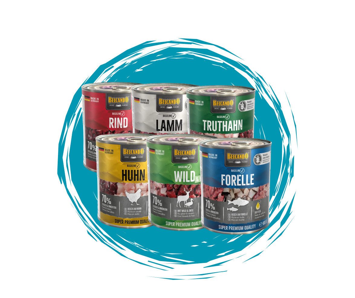 Belcando Baseline Mixpaket - hochwertiges Nassfutter mit 6 verschiedenen Sorten 6x800g, Nassfutter für: Hunde