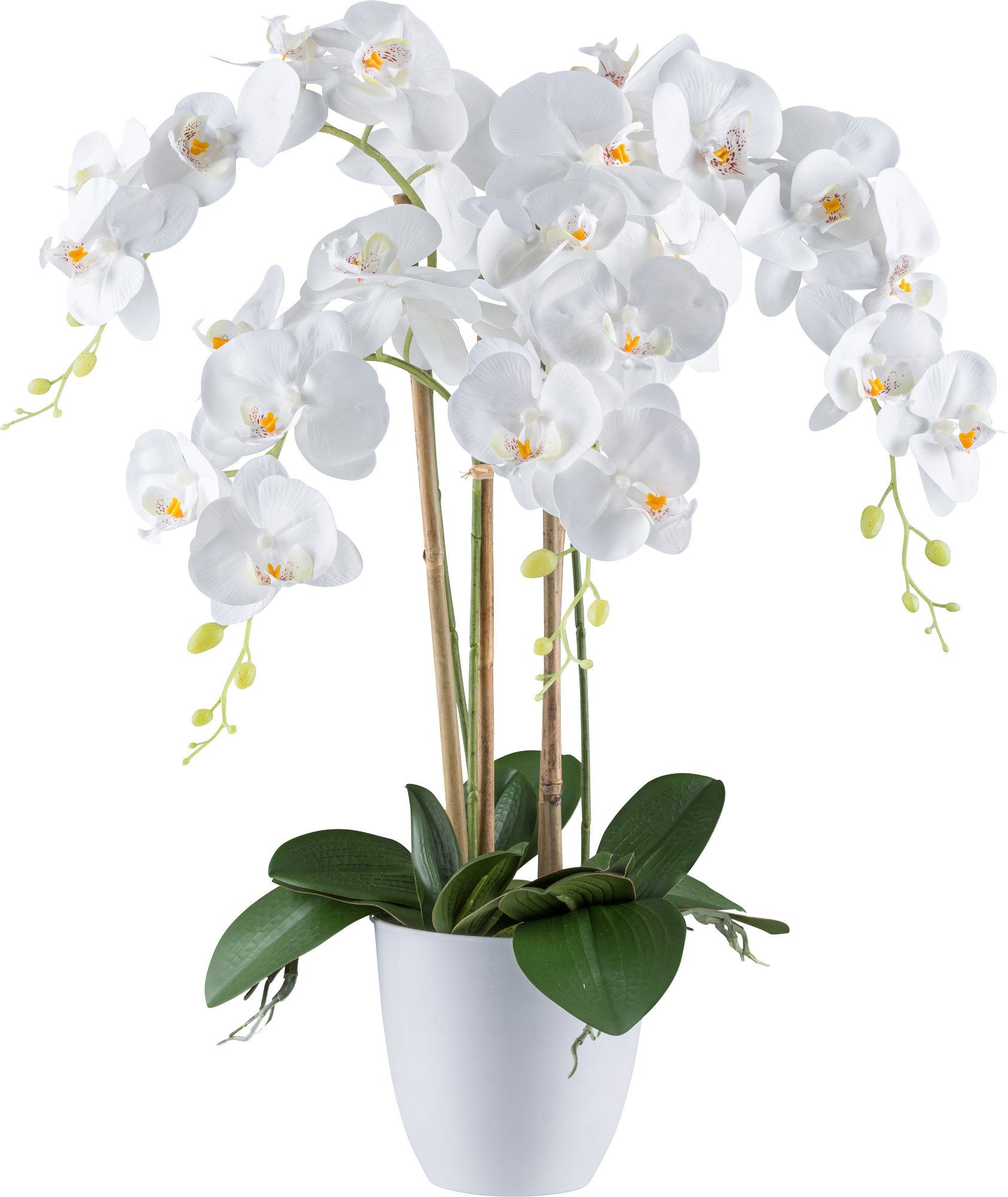 Kunstpflanze Kunstpflanze Orchidee günstig online kaufen