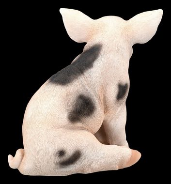Figuren Shop GmbH Dekofigur Schweine Figur - Geflecktes Ferkel - Tierdeko Dekofigur Schwein