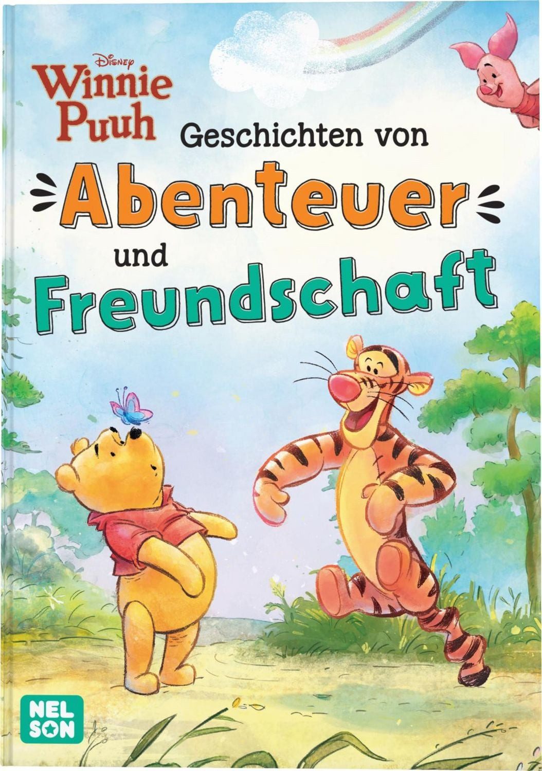 Disney Winnie Puuh: Geschichten von Abenteuer und Freundschaft / diverse