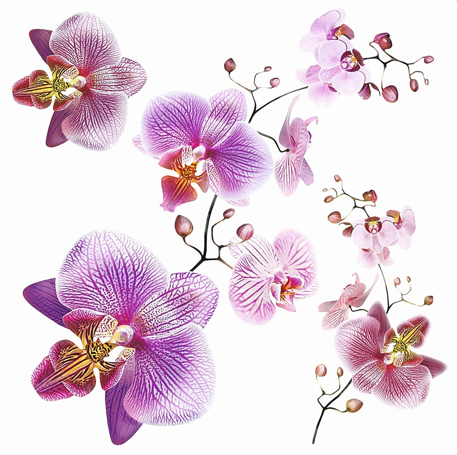 Sanders & Sanders Wandtattoo Blumen