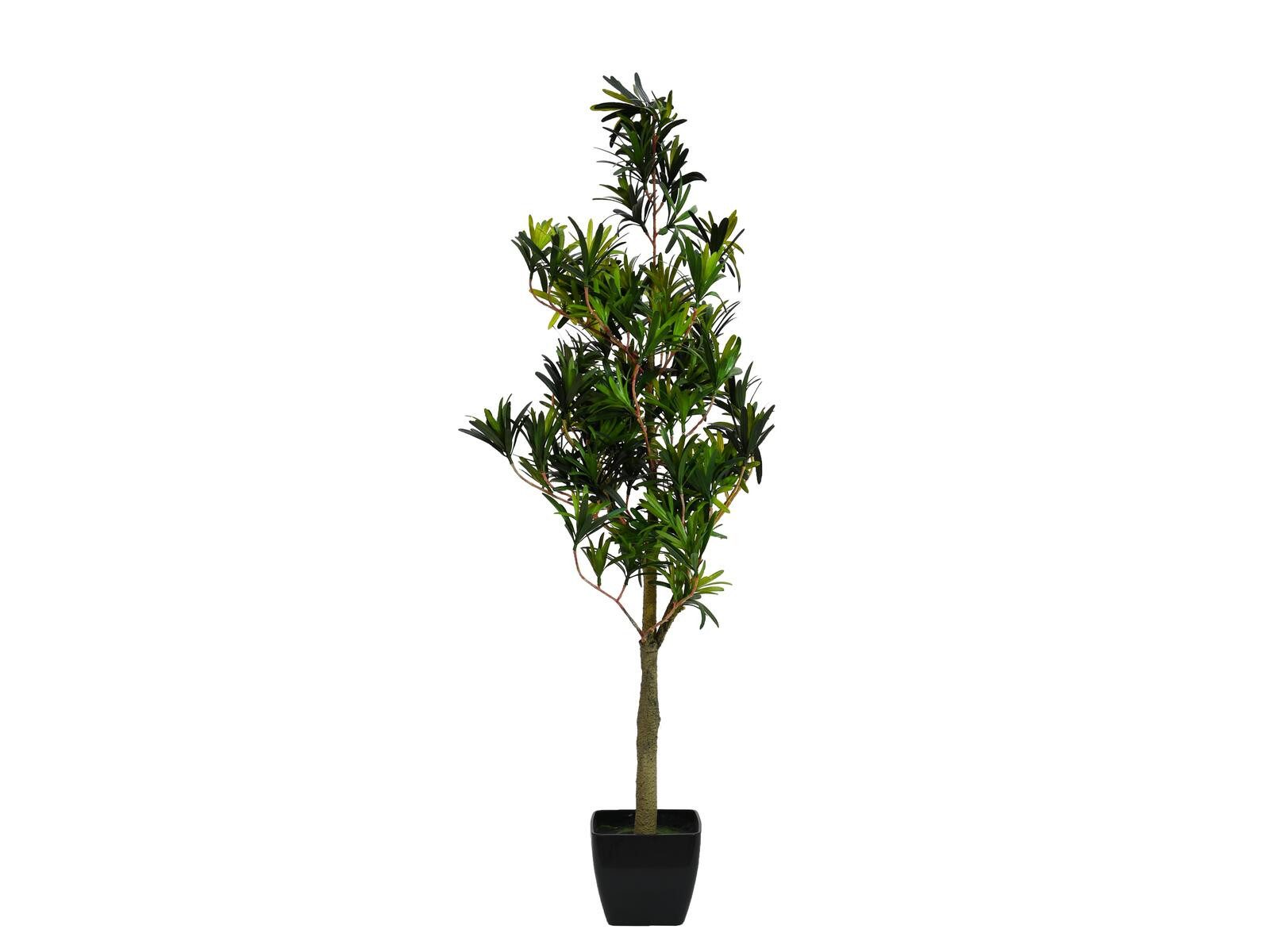 Kunstbaum EUROPALMS Steineibe, Kunstpflanze, 90cm
