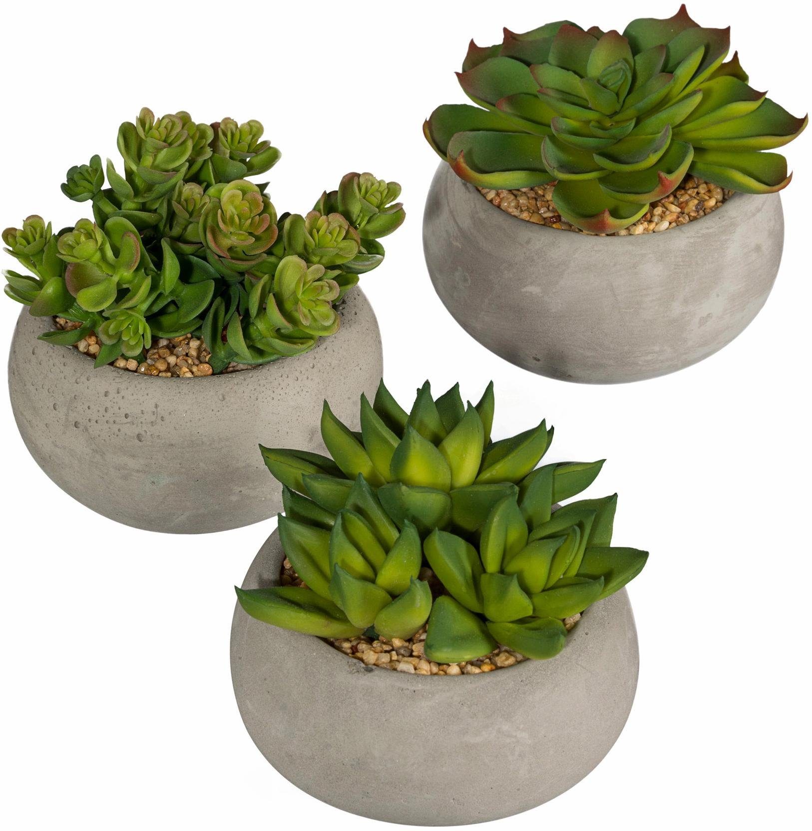 Kunstpflanze Sukkulenten, Creativ green. Reduzierter Preis € 19,86. Unverbindliche Preisempfehlung € 27,99