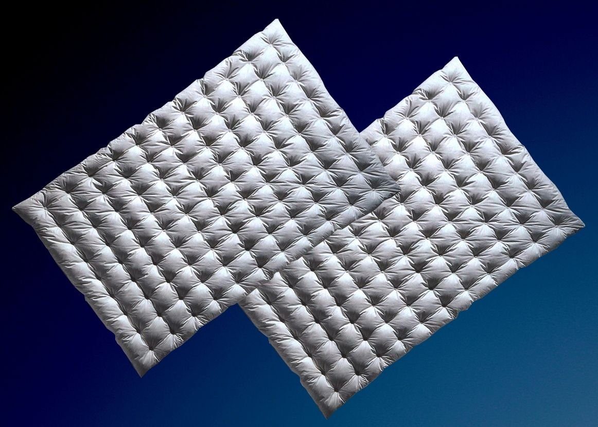 Betten Hofmann Daunenbettdecke 2 Stück Betten Hofmann Sommer Daunendecken 135x200 Punktstepp Daunenbe, Füllung: 80% Daunen, 20% Federn, Bezug: 100% Baumwolle, hergestellt in Deutschland, allergikerfreundlich, im Set günstiger