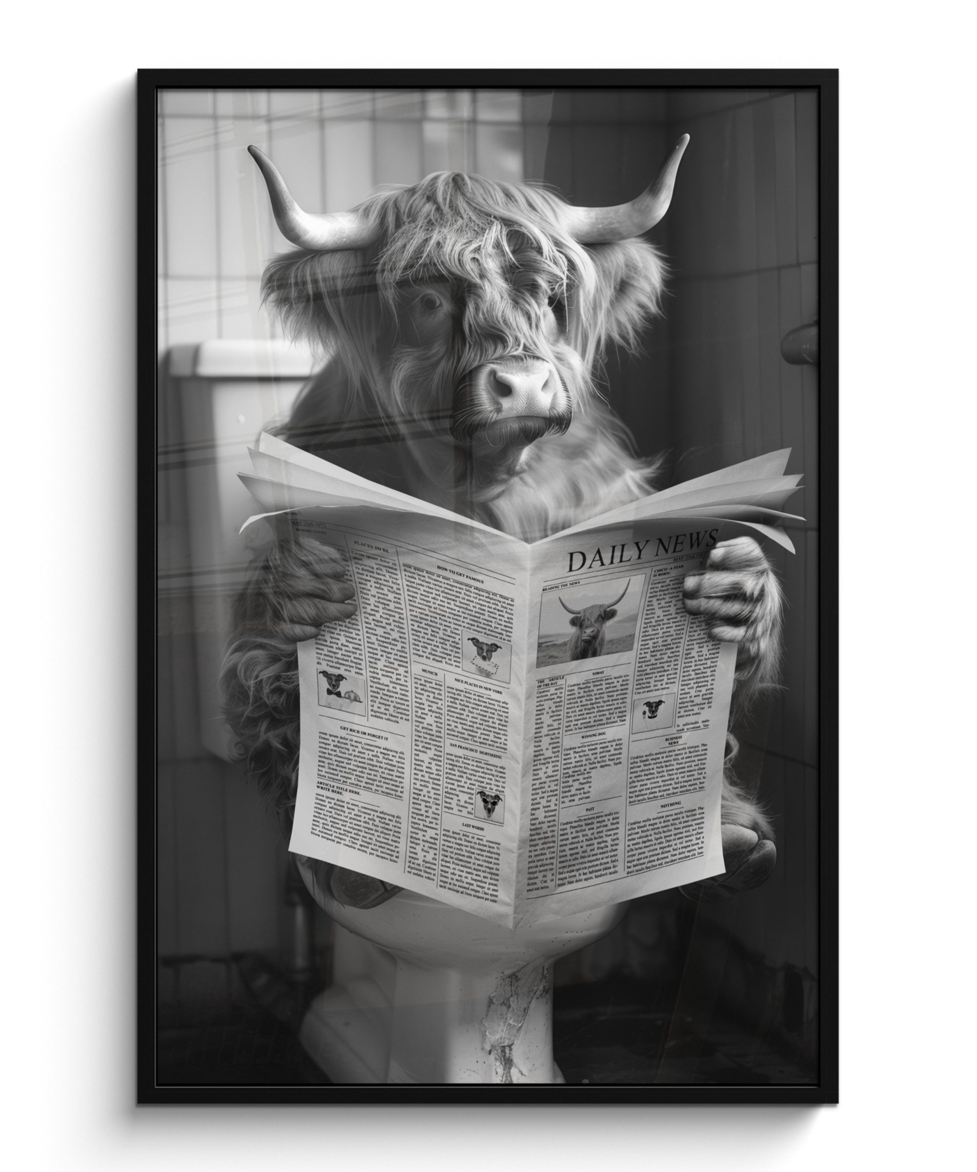 MuchoWow Poster Schottischer Highlander - Kuh günstig online kaufen