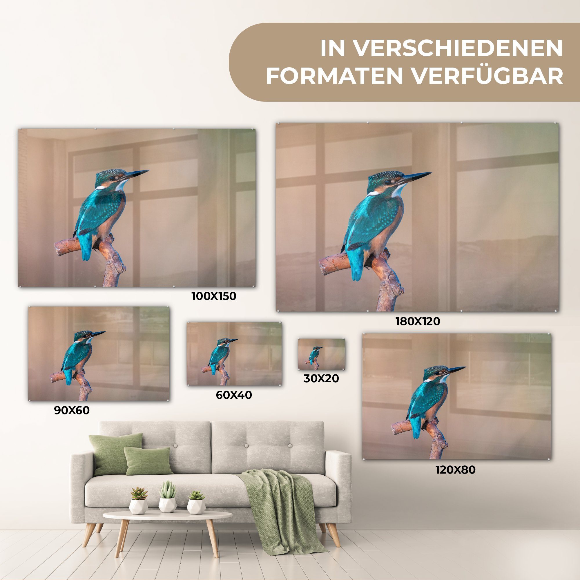 MuchoWow Acrylglasbild Eisvogel - Porträt Acrylglasbilder Zweig, - (1 Schlafzimmer St), & Wohnzimmer