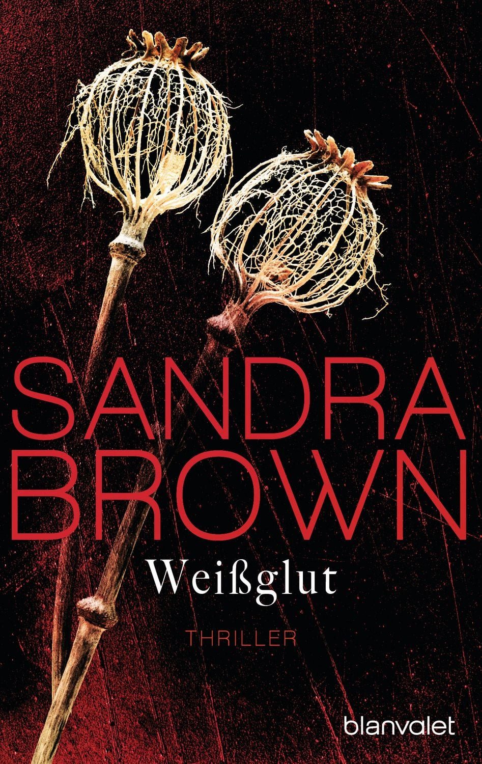 Weißglut / Sandra Brown