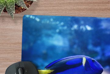 MuchoWow Gaming Mauspad Blauer Fisch im Aquarium (1-St), Mousepad mit Rutschfester Unterseite, Gaming, 40x40 cm, XXL, Großes