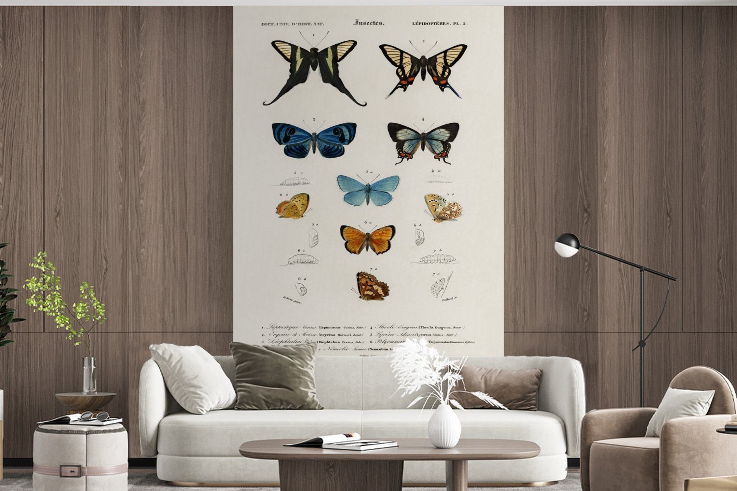 St), Kinderzimmer, (3 für Schlafzimmer, Schmetterling Wallpaper - Wohnzimmer, Insekten, - Fototapete Vinyl Vintage bedruckt, MuchoWow Matt, Tapete