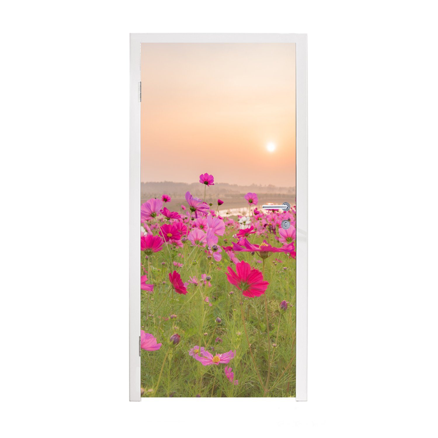 MuchoWow Türtapete Blumenwiese - Rosa - Mohnblumen, Matt, bedruckt, (1 St), Fototapete für Tür, Türaufkleber, 75x205 cm