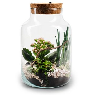 Annastore Tischvase XXL Pflanzenterrarium - Terrarium Glas für Pflanzen Flaschengarten