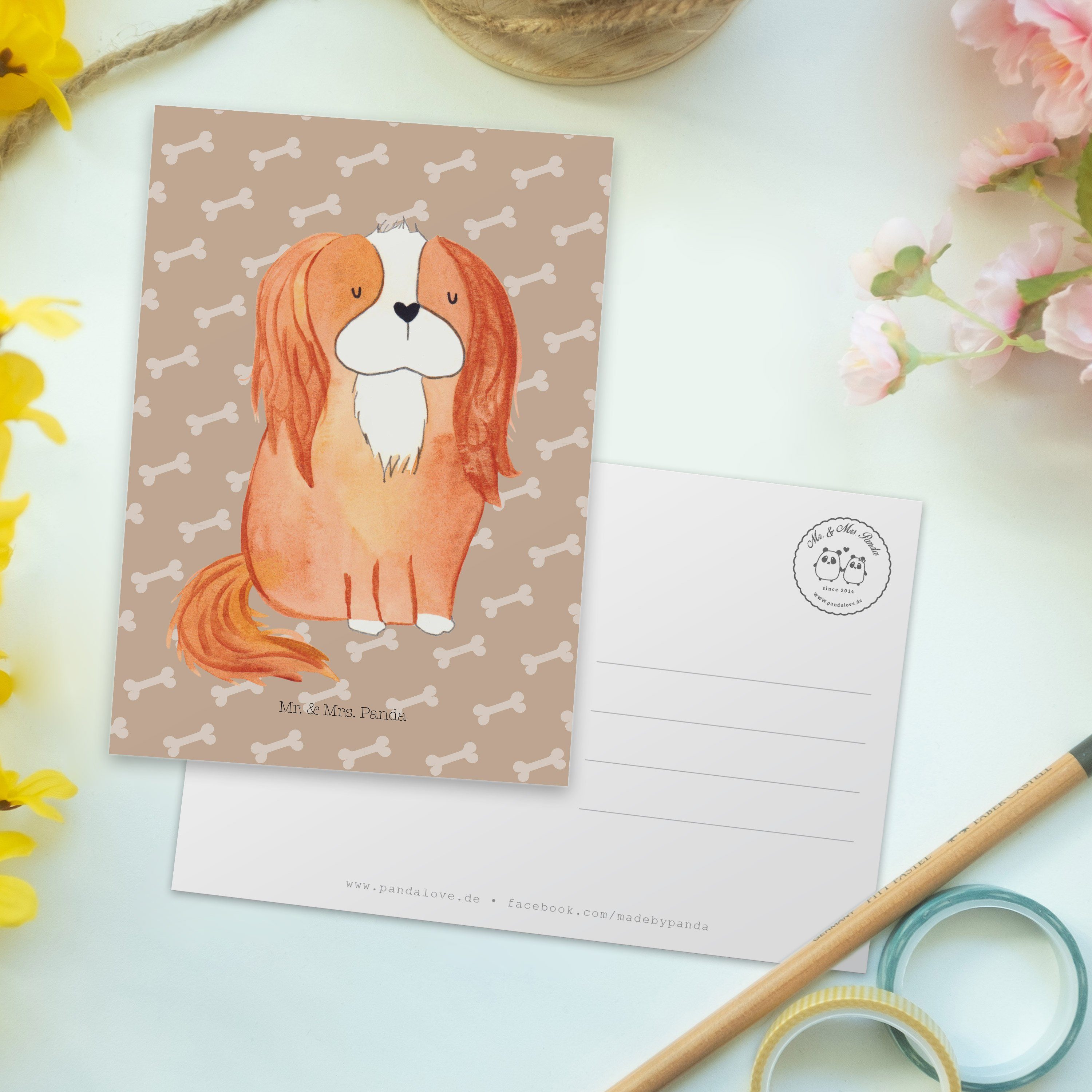 Postkarte Mrs. & Panda King - Cavalier Hundebesitzer Charles Mr. Spaniel - Hundeglück Geschenk,