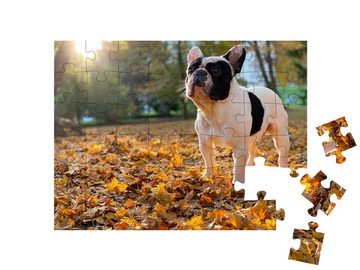 puzzleYOU Puzzle Nette schwarz-weiße französische Bulldogge sitzt, 48 Puzzleteile, puzzleYOU-Kollektionen Hunde, Buldogge