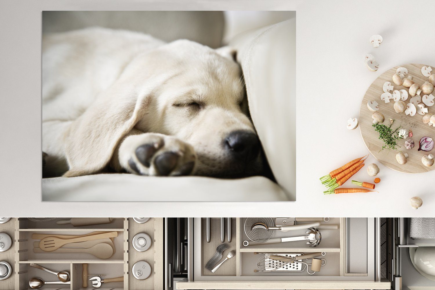 MuchoWow Herdblende-/Abdeckplatte Labrador schläft auf Arbeitsfläche cm, Sofa, tlg), (1 Vinyl, 70x52 dem nutzbar, Ceranfeldabdeckung Mobile