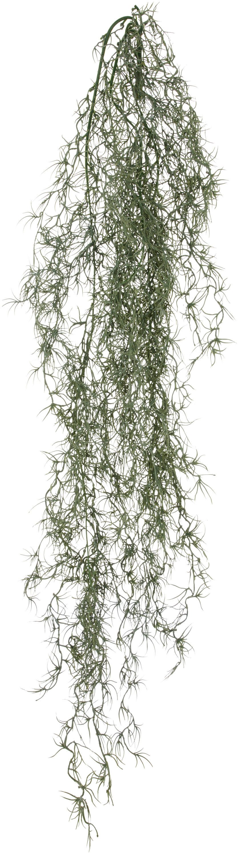Kunstranke Tillandsia, Creativ green, Höhe 120 günstig online kaufen