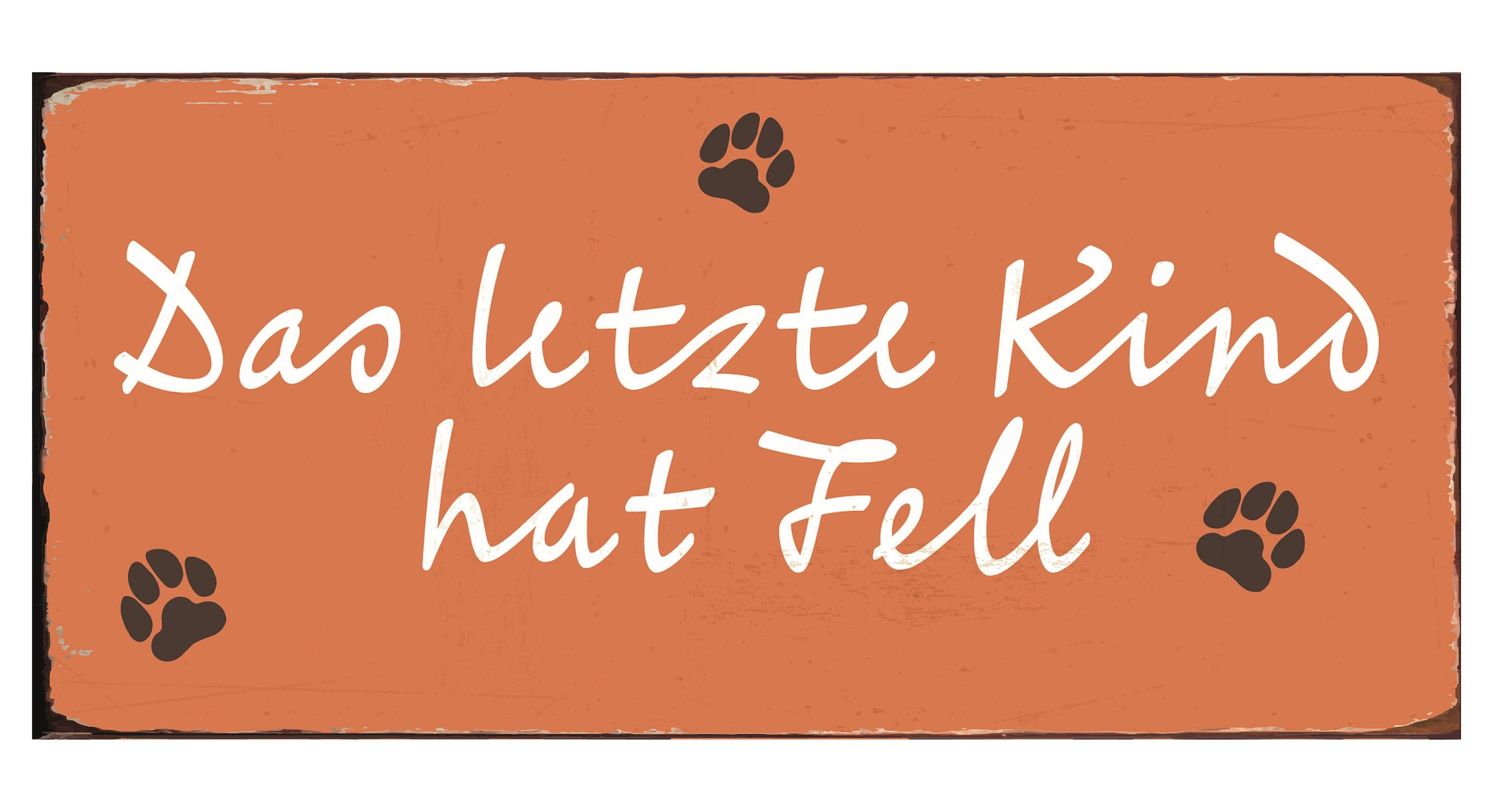 Ib Laursen Metallschild Ib Laursen - Schild Blechschild Metallschild "Das letzte Kind hat