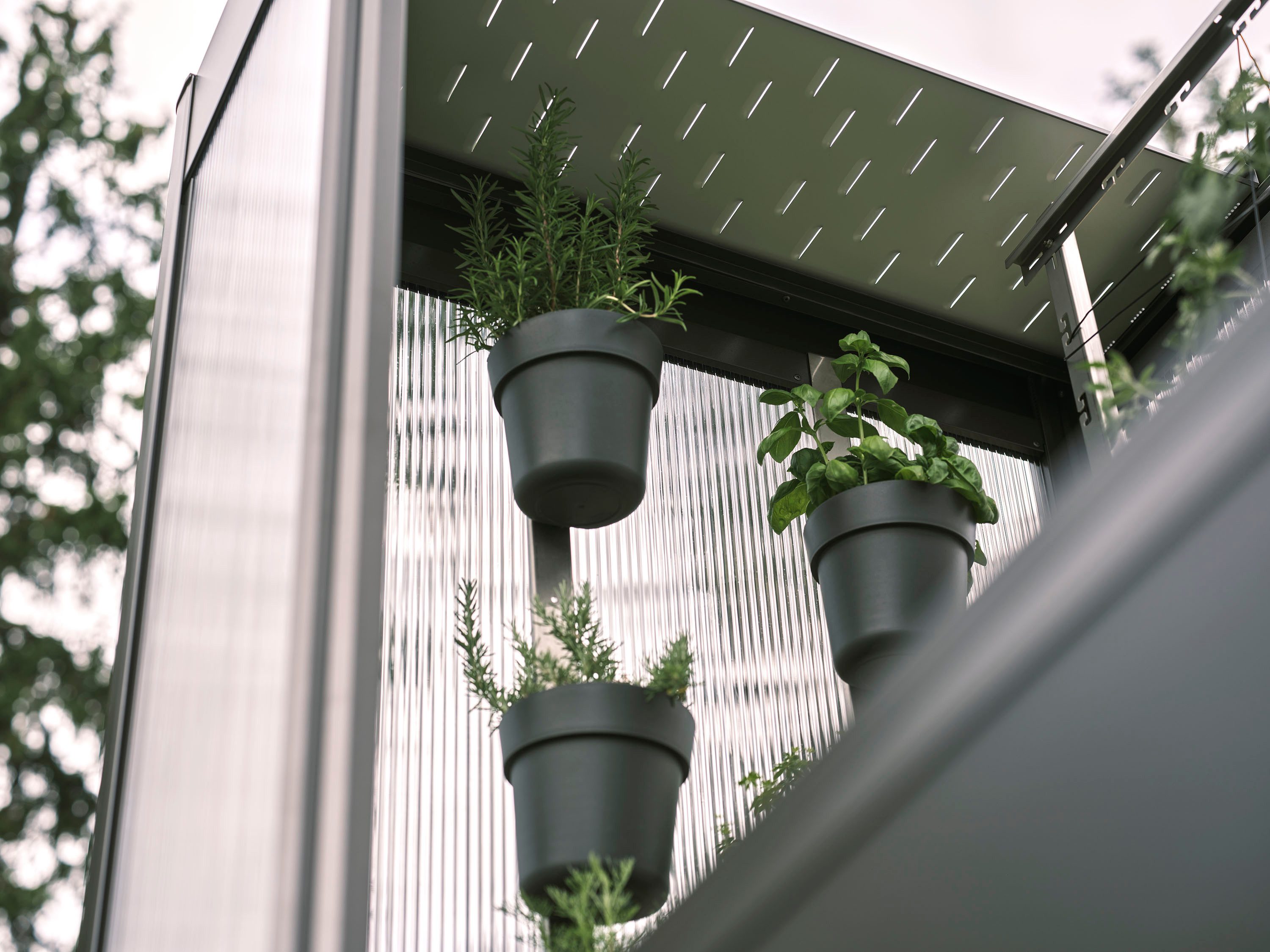 Biohort Blumentopf zu Gewächshaus Florentina (Set), 3 Töpfe