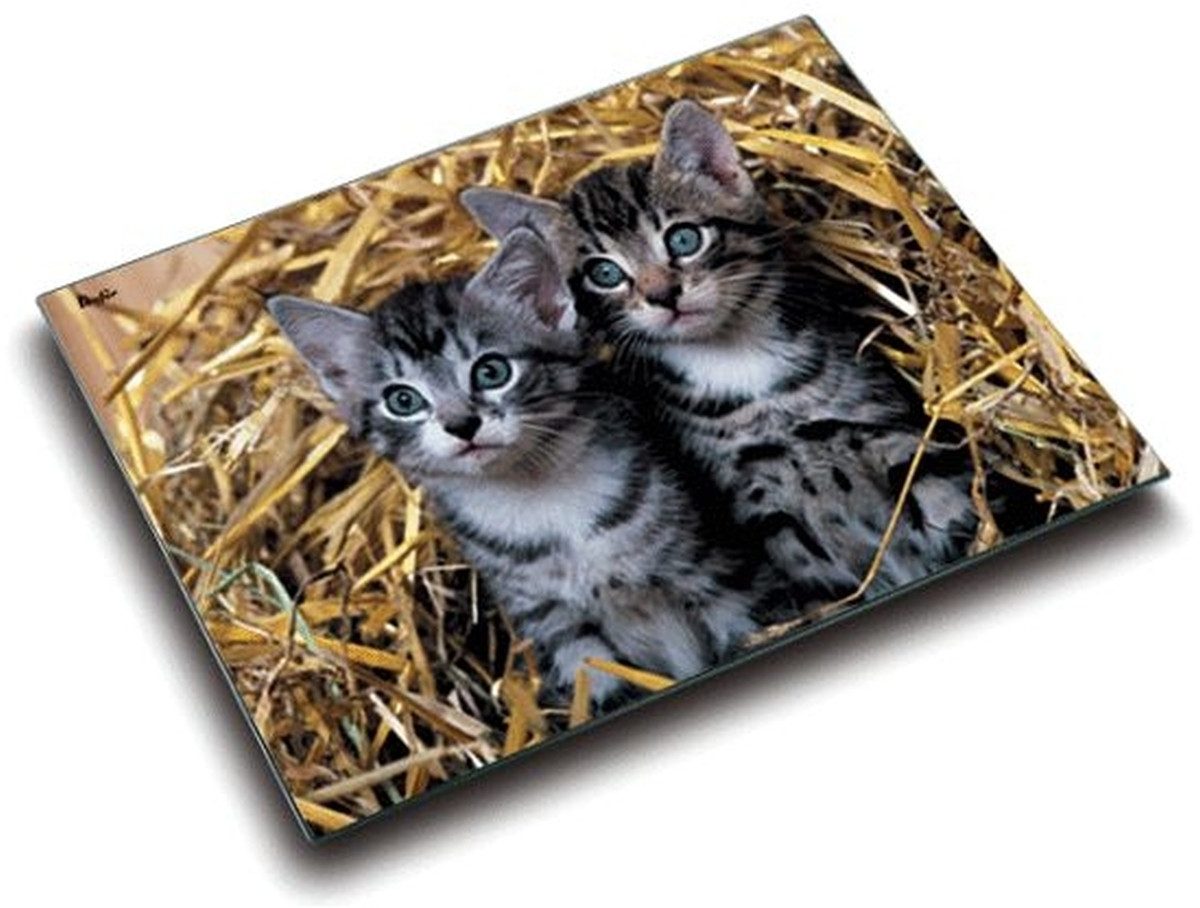 Läufer Schreibtischunterlage Schreibunterlage Motiv-Poster 40x53 cm Katzen im Stroh (25 Stück)