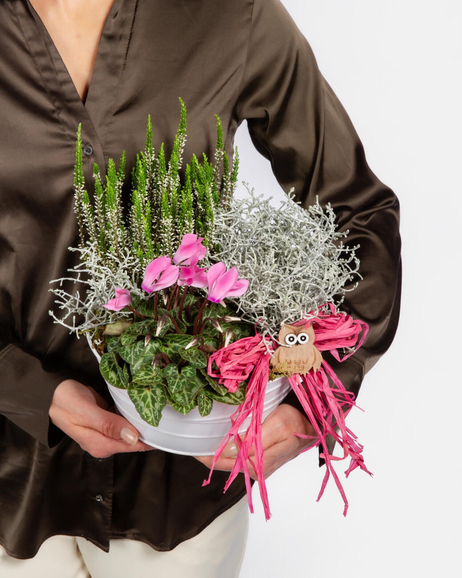 Fleurop Zimmerpflanze Herbstgruß - DIY: Einpflanz-SET