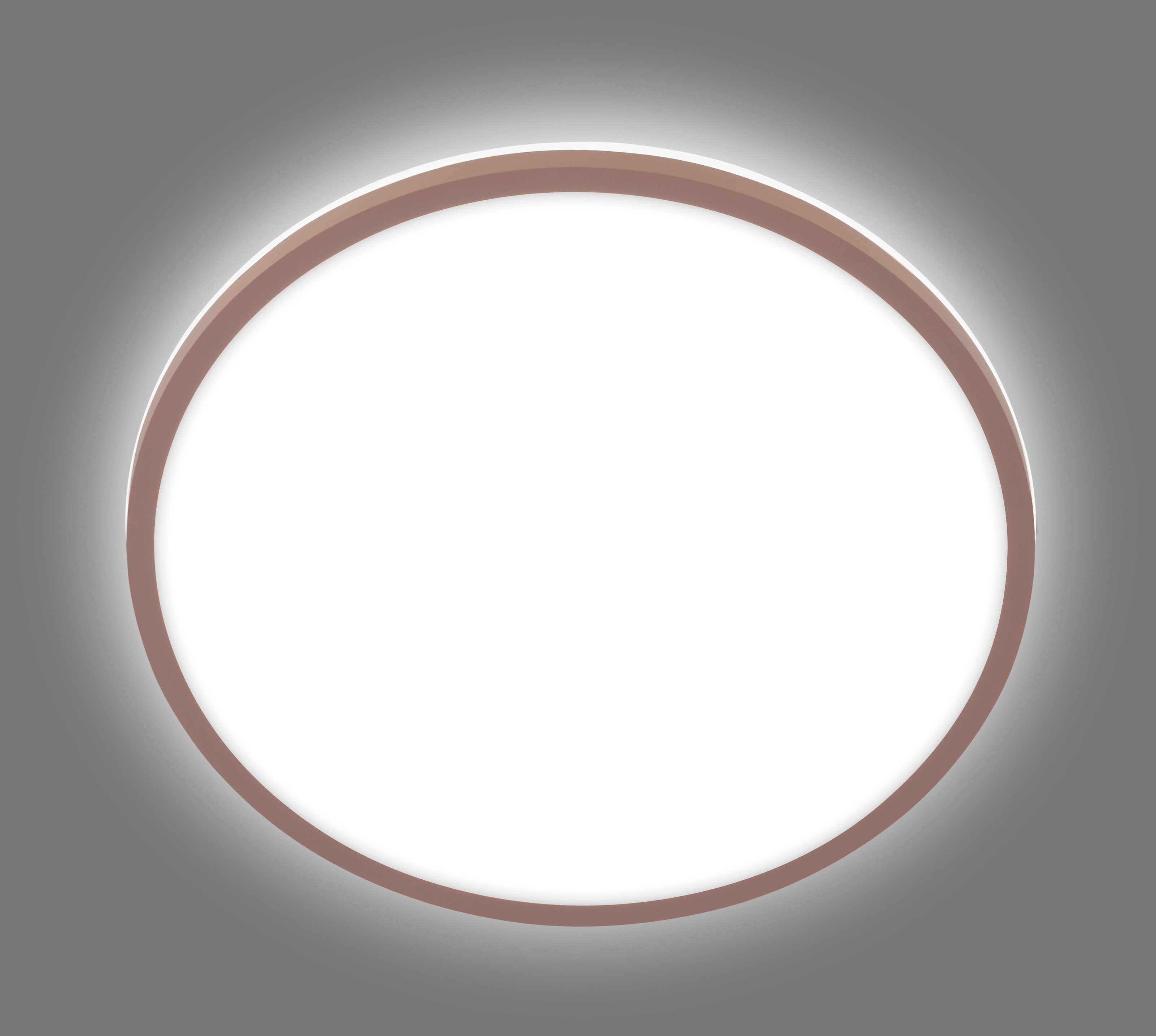 Briloner Leuchten LED Deckenleuchte LANA 3046012 günstig online kaufen