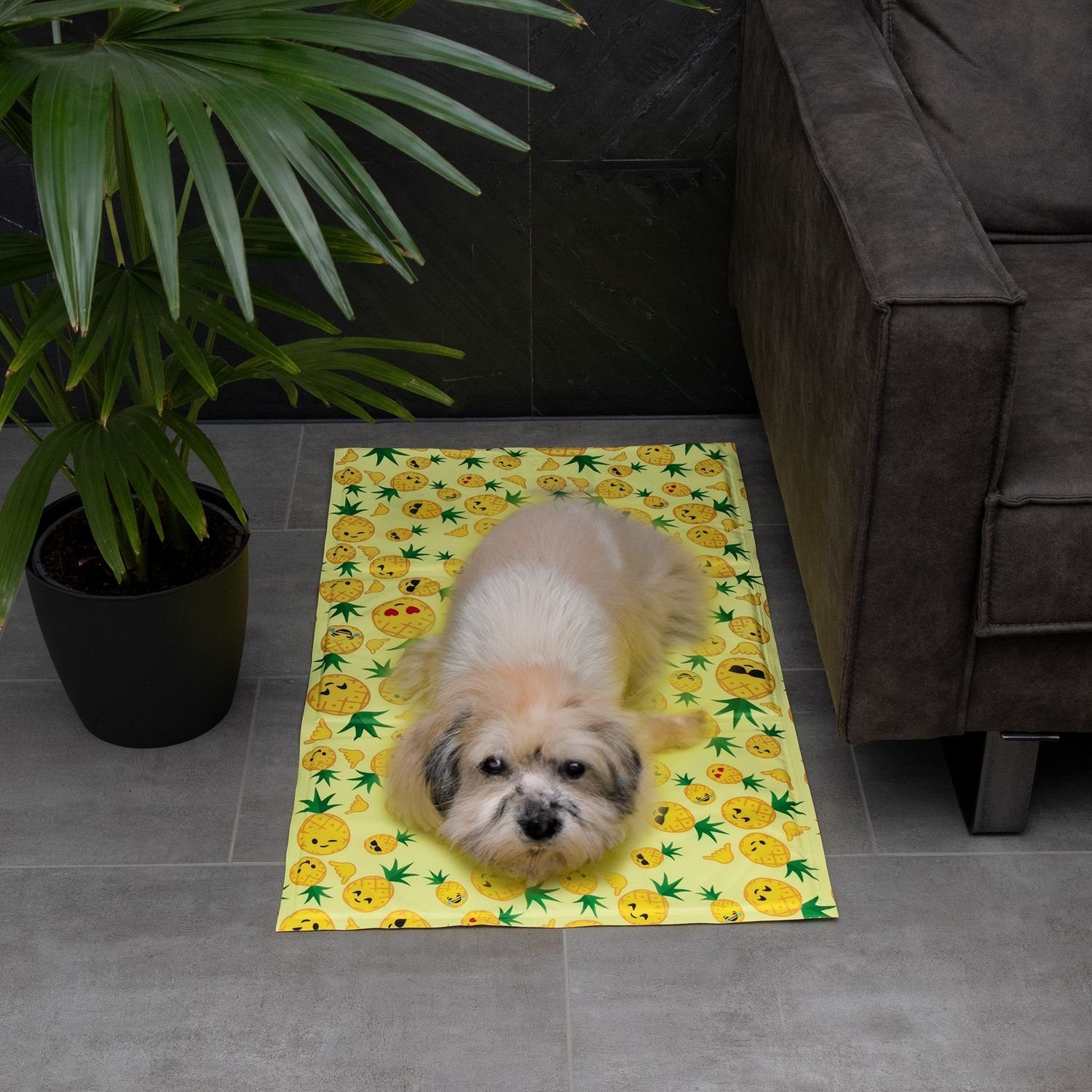 Intirilife Tierdecke, Kühlmatte für Hunde und Katzen 50x90cm selbstkühlende Matte