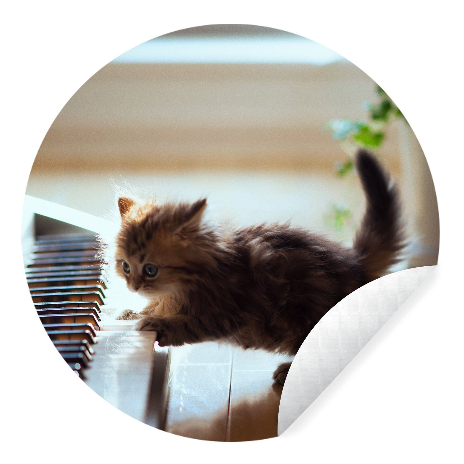 MuchoWow Wandsticker Katze - Tier - Kätzchen (1 St), Tapetenkreis für Kinderzimmer, Tapetenaufkleber, Rund, Wohnzimmer