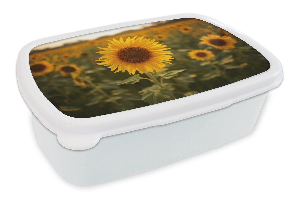 MuchoWow Lunchbox Sonnenblume - Landschaft - Bangladesch, Kunststoff, (2-tlg), Brotbox für Kinder und Erwachsene, Brotdose, für Jungs und Mädchen weiß