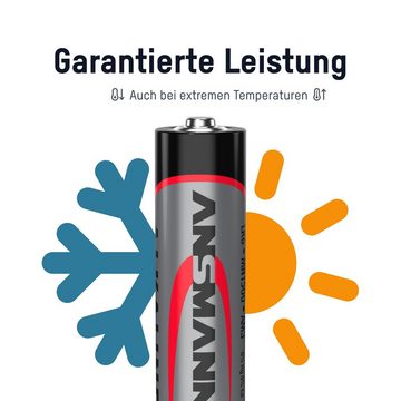 ANSMANN AG Batterien AA 100 Stück, Alkaline Micro Batterie, für Lichterkette uvm. Batterie