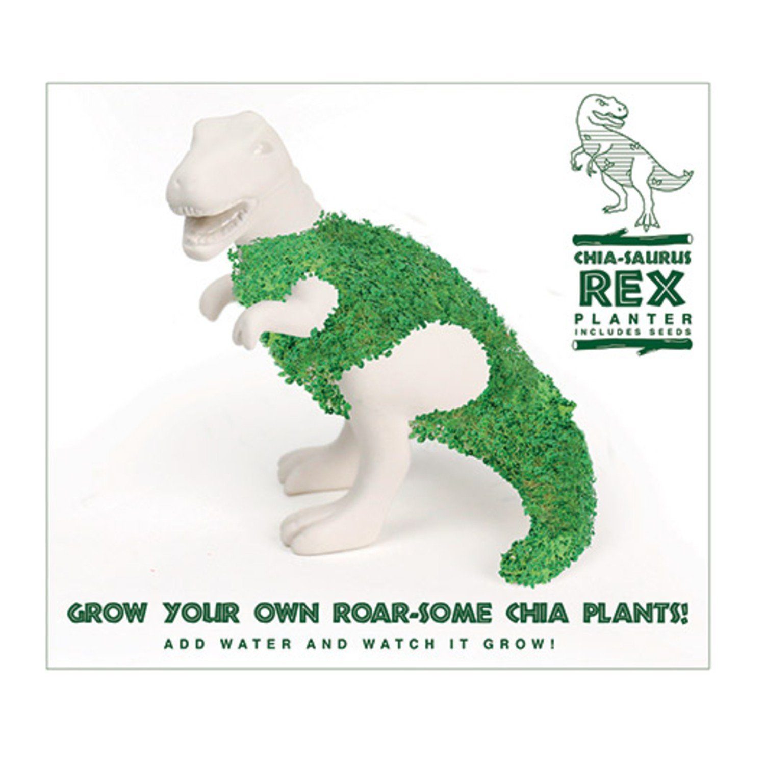 GIFT REPUBLIC Kräuterbeet T-Rex Pfanztier