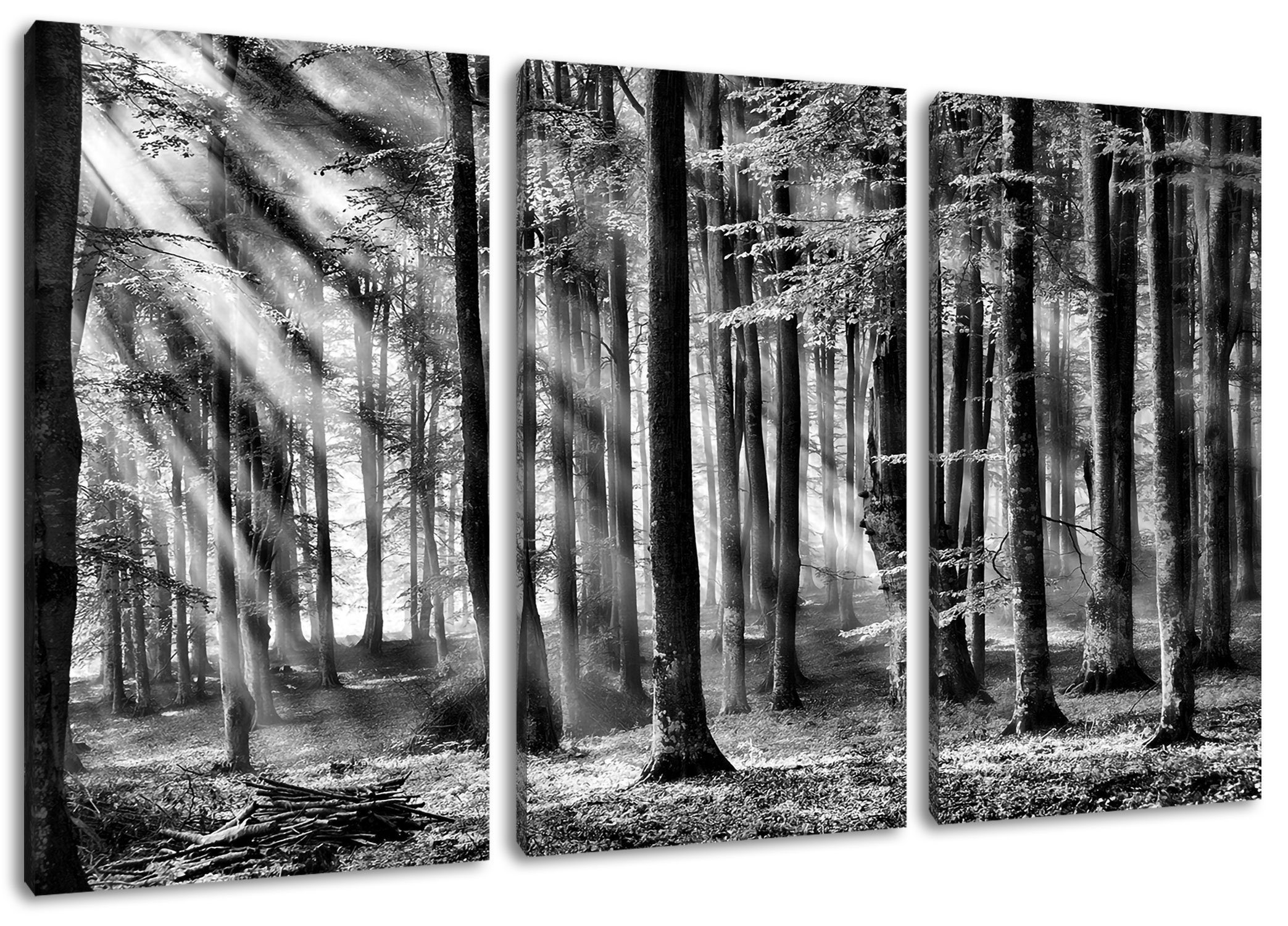 Pixxprint Leinwandbild Bäume (1 Zackenaufhänger im Licht Leinwandbild inkl. bespannt, Licht, (120x80cm) St), fertig Bäume im 3Teiler