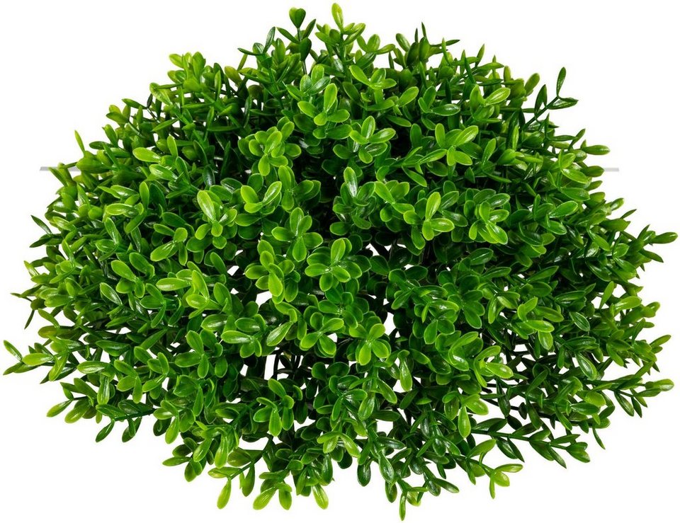 Kunstpflanze Teeblatt-Halbkugel Grünpflanze, Creativ green, Höhe 12 cm