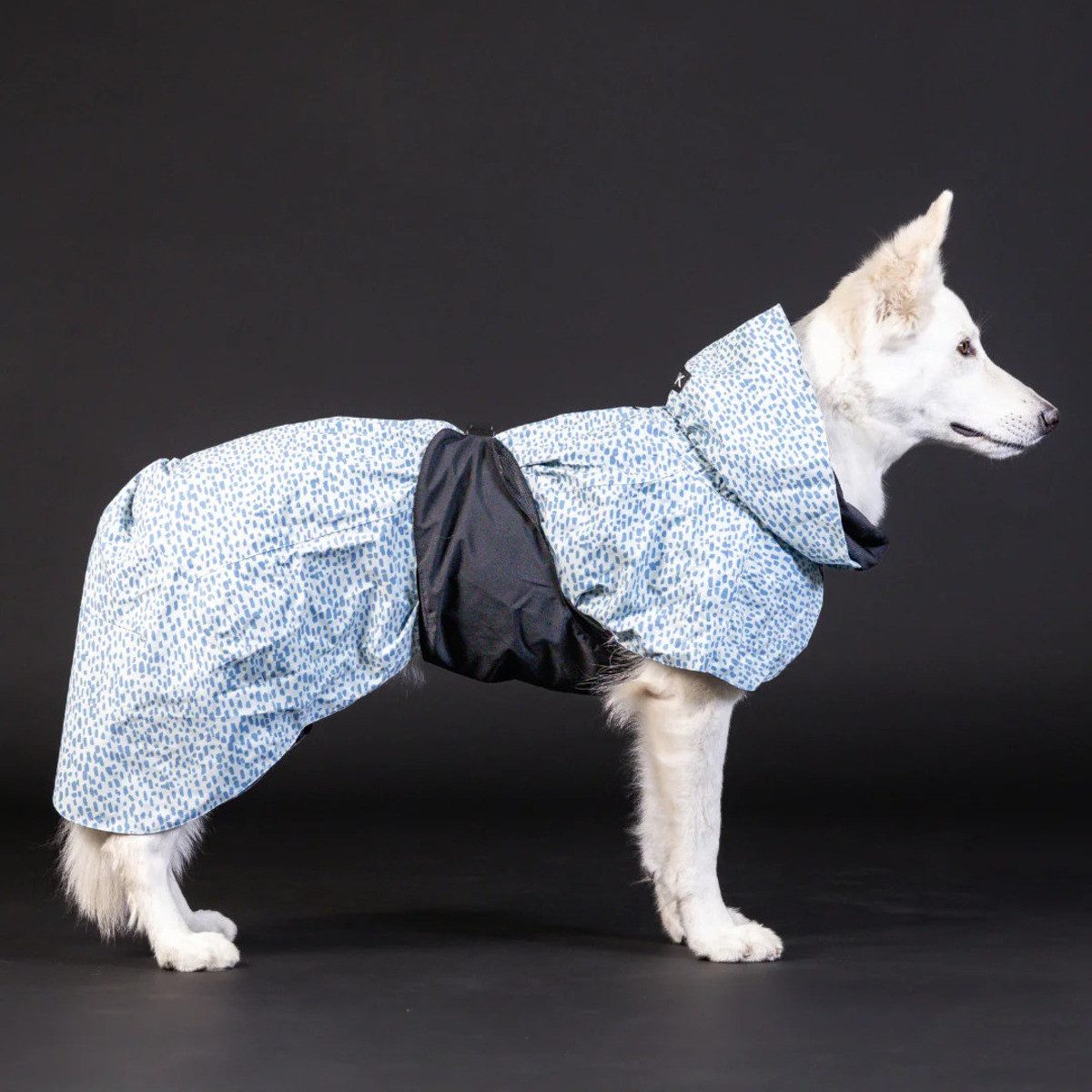 PAIKKA Hunderegenmantel Hunde Regenmantel "Raincoat" 2.0 Baby-blau