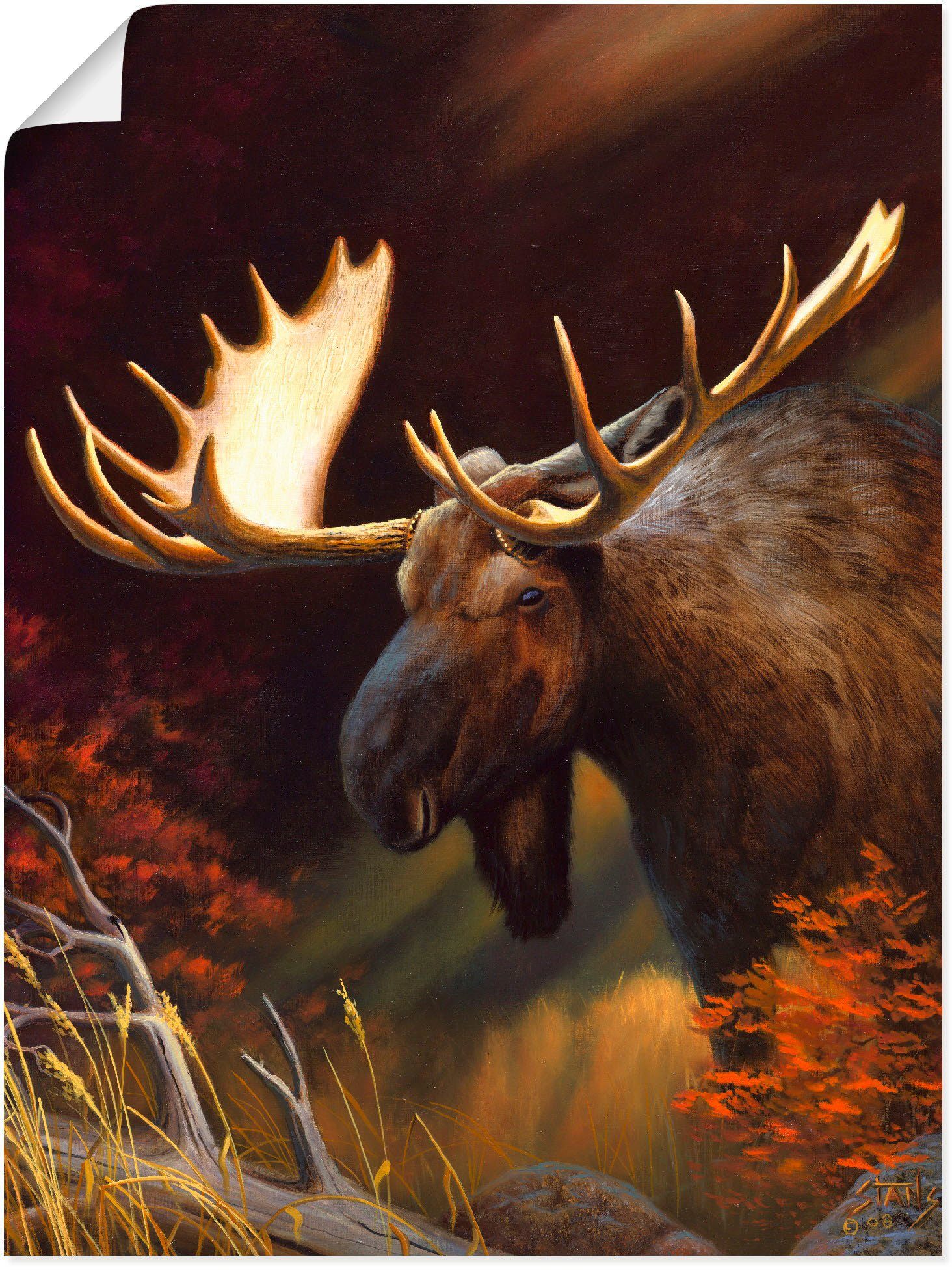 Artland Wandbild »Elch Foto«, Wildtiere (1 Stück), in