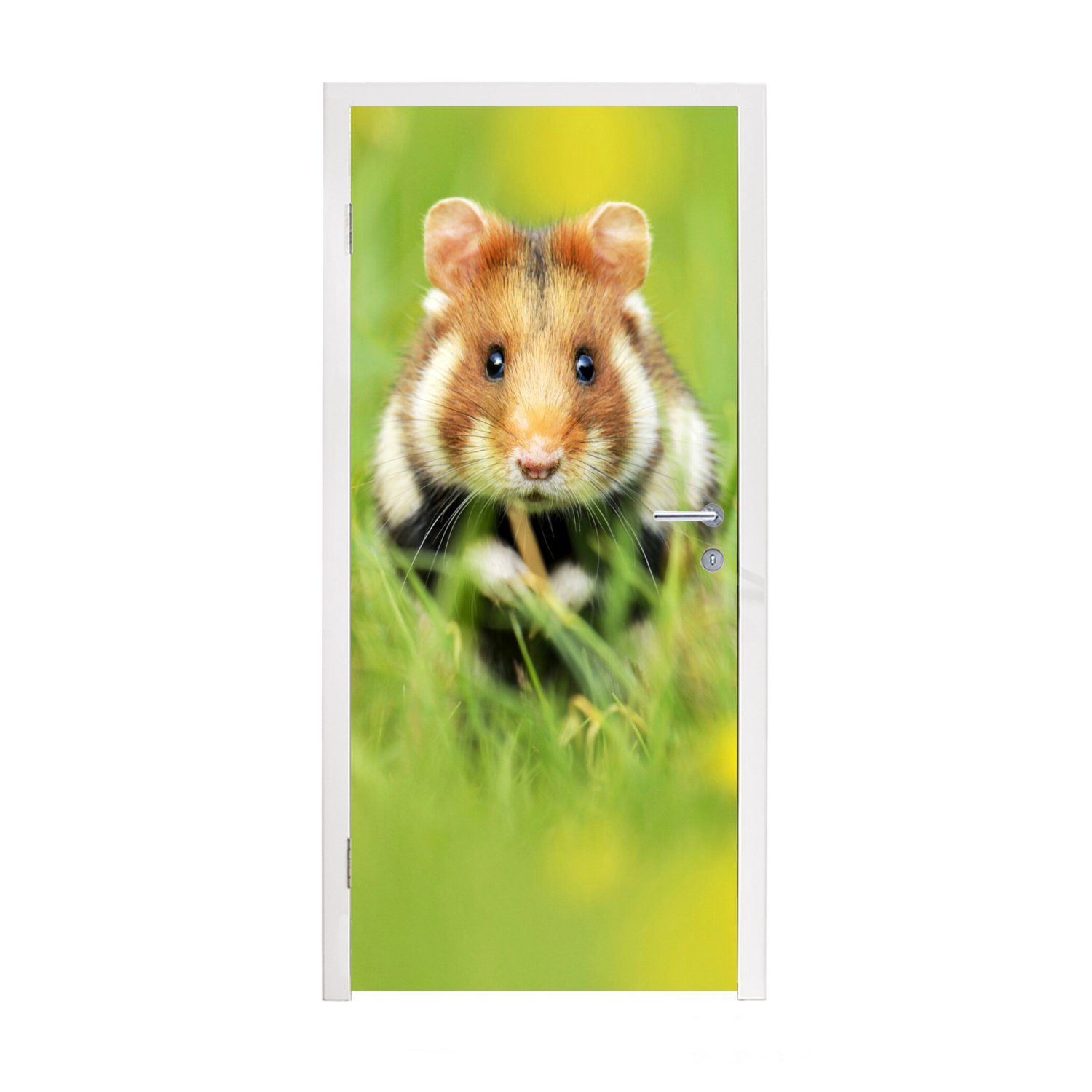 Matt, Türtapete Türaufkleber, 75x205 (1 Gras, für St), Europäischer Fototapete bedruckt, Tür, MuchoWow cm Hamster im