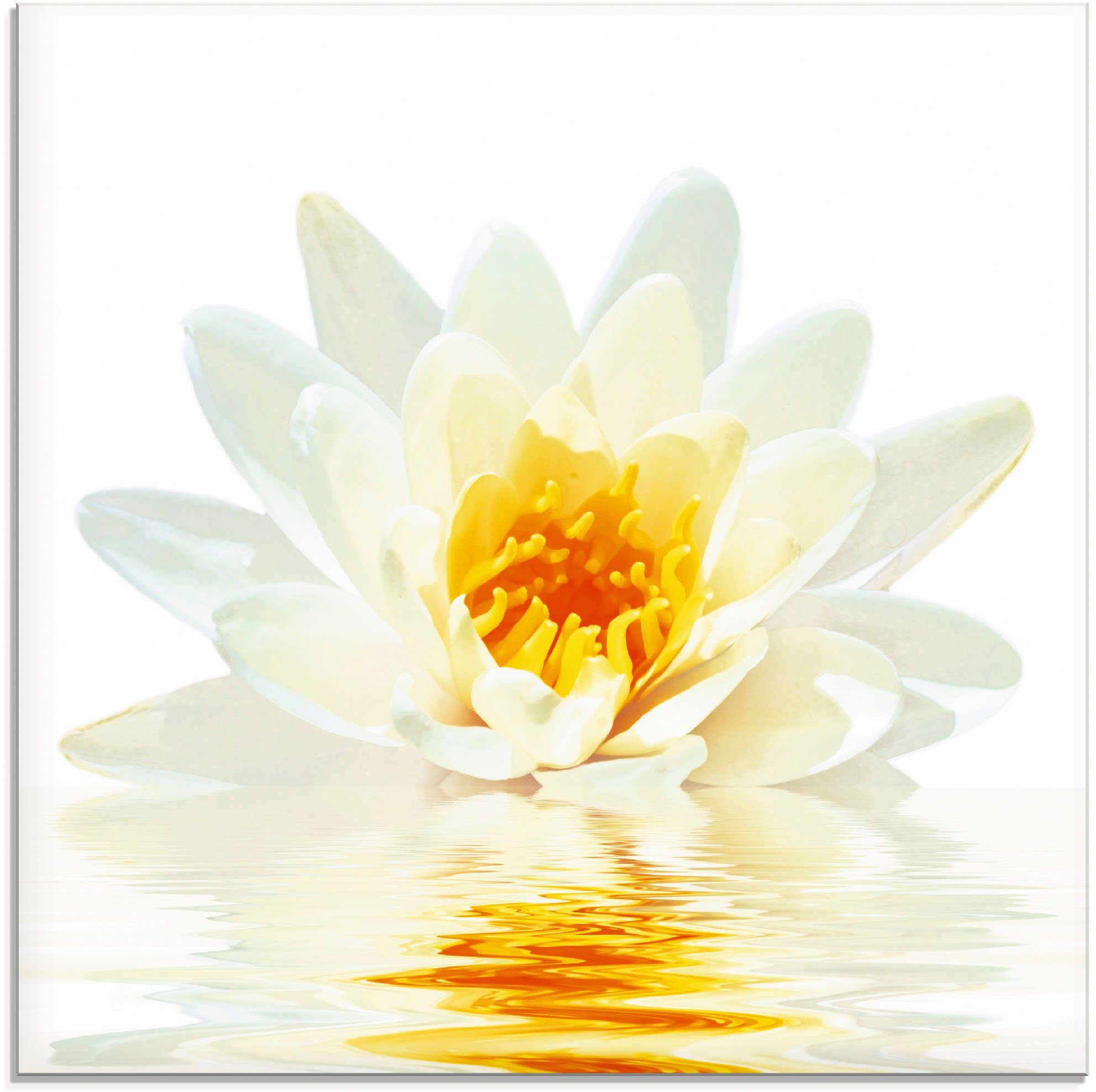 Glasbild in schwimmt verschiedenen Blumen Lotusblume im Wasser, Artland (1 St), Größen