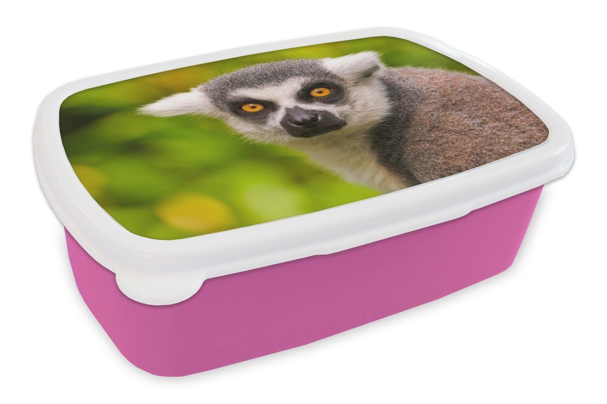 MuchoWow Lunchbox Affe - Ringschwanzlemur - Tier, Kunststoff, (2-tlg), Brotbox für Erwachsene, Brotdose Kinder, Snackbox, Mädchen, Kunststoff rosa