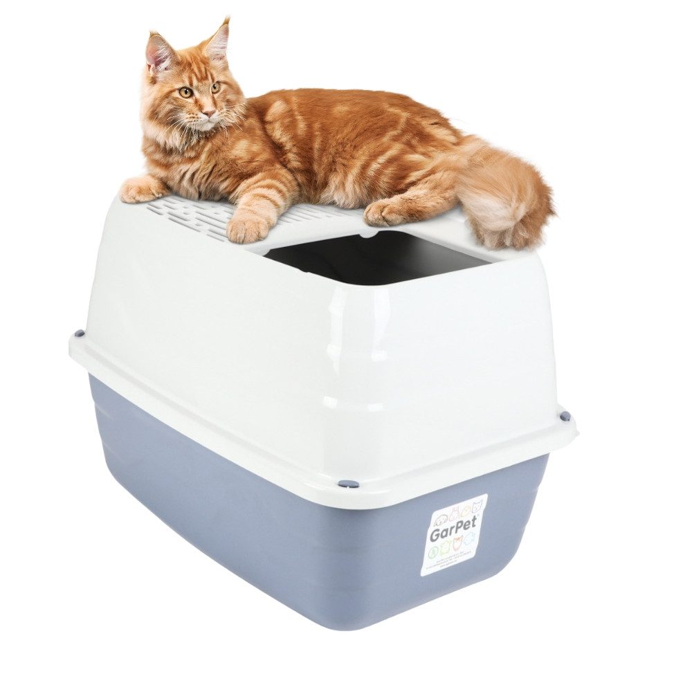 GarPet Katzentoilette Hop In Katzenklo XXL große Katzen Katzenklo hoher Rand Katzentoilette