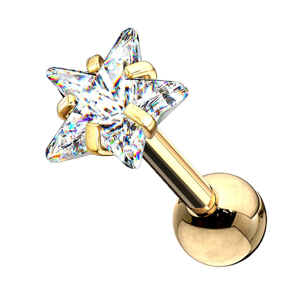 Taffstyle Piercing-Set Tragus Chirurgenstahl mit Stern günstig online kaufen
