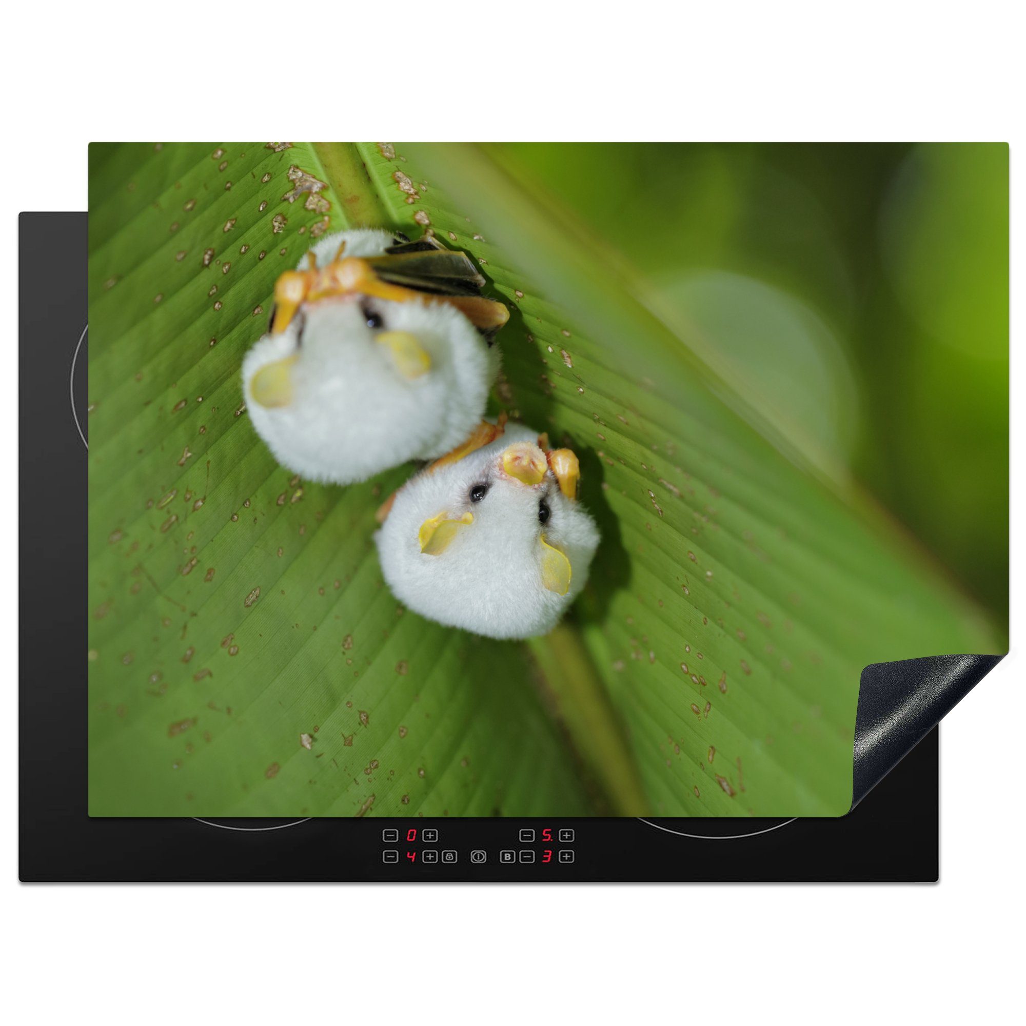 MuchoWow Herdblende-/Abdeckplatte Weiße Fledermäuse auf grünem Blatt, Vinyl, (1 tlg), 70x52 cm, Mobile Arbeitsfläche nutzbar, Ceranfeldabdeckung