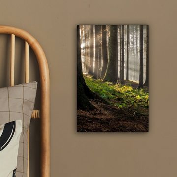 OneMillionCanvasses® Leinwandbild Sonne - Äste - Bäume - Wald - Natur, (1 St), Leinwandbild fertig bespannt inkl. Zackenaufhänger, Gemälde, 20x30 cm