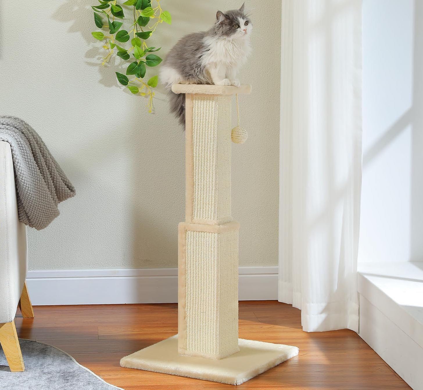 purplerain Kratzbaum Katzenkratzbaum Kratzsäule Stabil mit Katzenspielzeug, 82cm