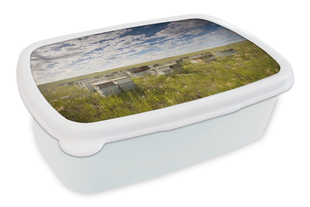 MuchoWow Lunchbox Bienen - Blume - Himmel, Kunststoff, (2-tlg), Brotbox für Kinder und Erwachsene, Brotdose, für Jungs und Mädchen weiß