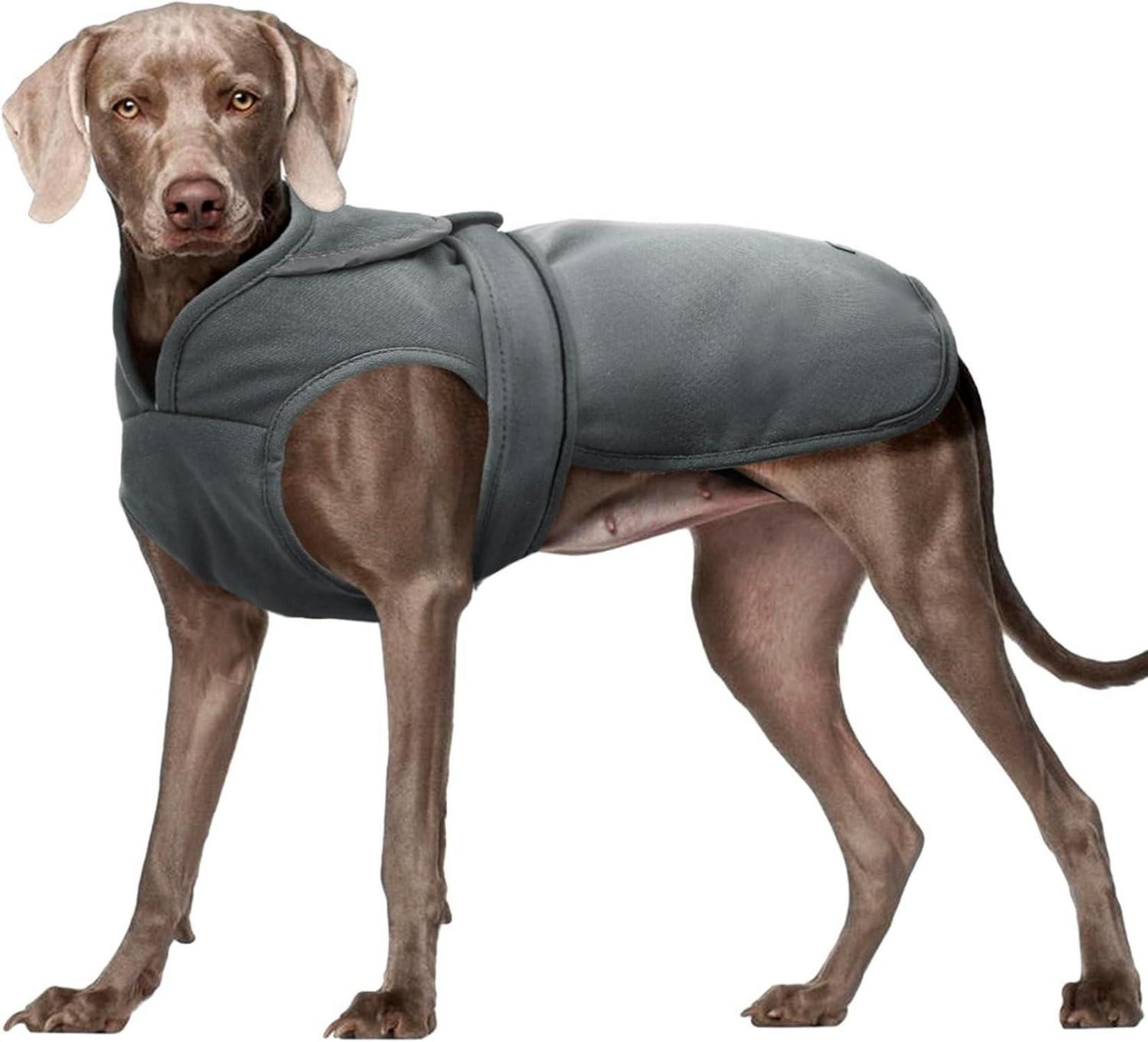 Schutzkragen Winter Hundemantel Reflektierend Fleece Wasserdicht XS-3XL Grau