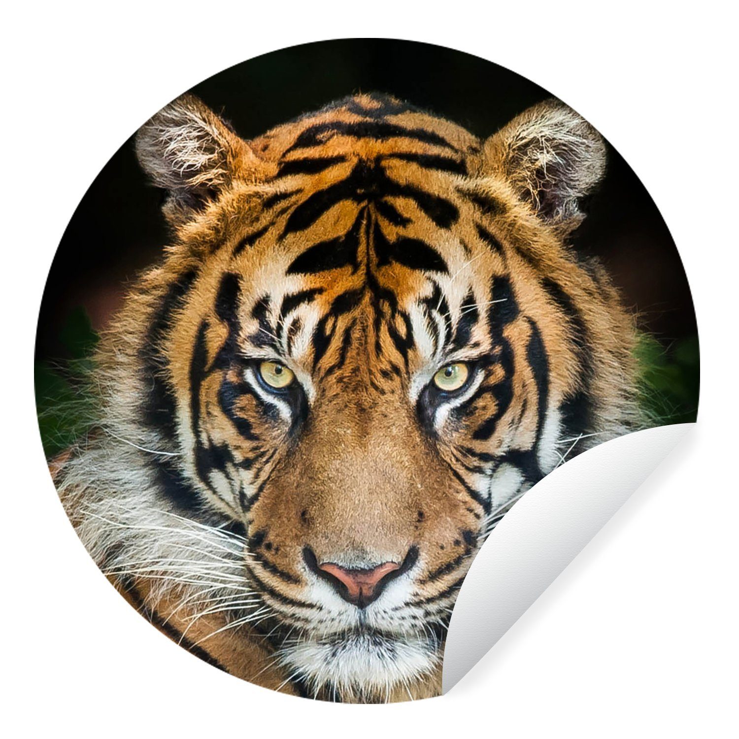 MuchoWow Wandsticker Sumatra-Tiger vor einem schwarzen Hintergrund (1 St), Tapetenkreis für Kinderzimmer, Tapetenaufkleber, Rund, Wohnzimmer